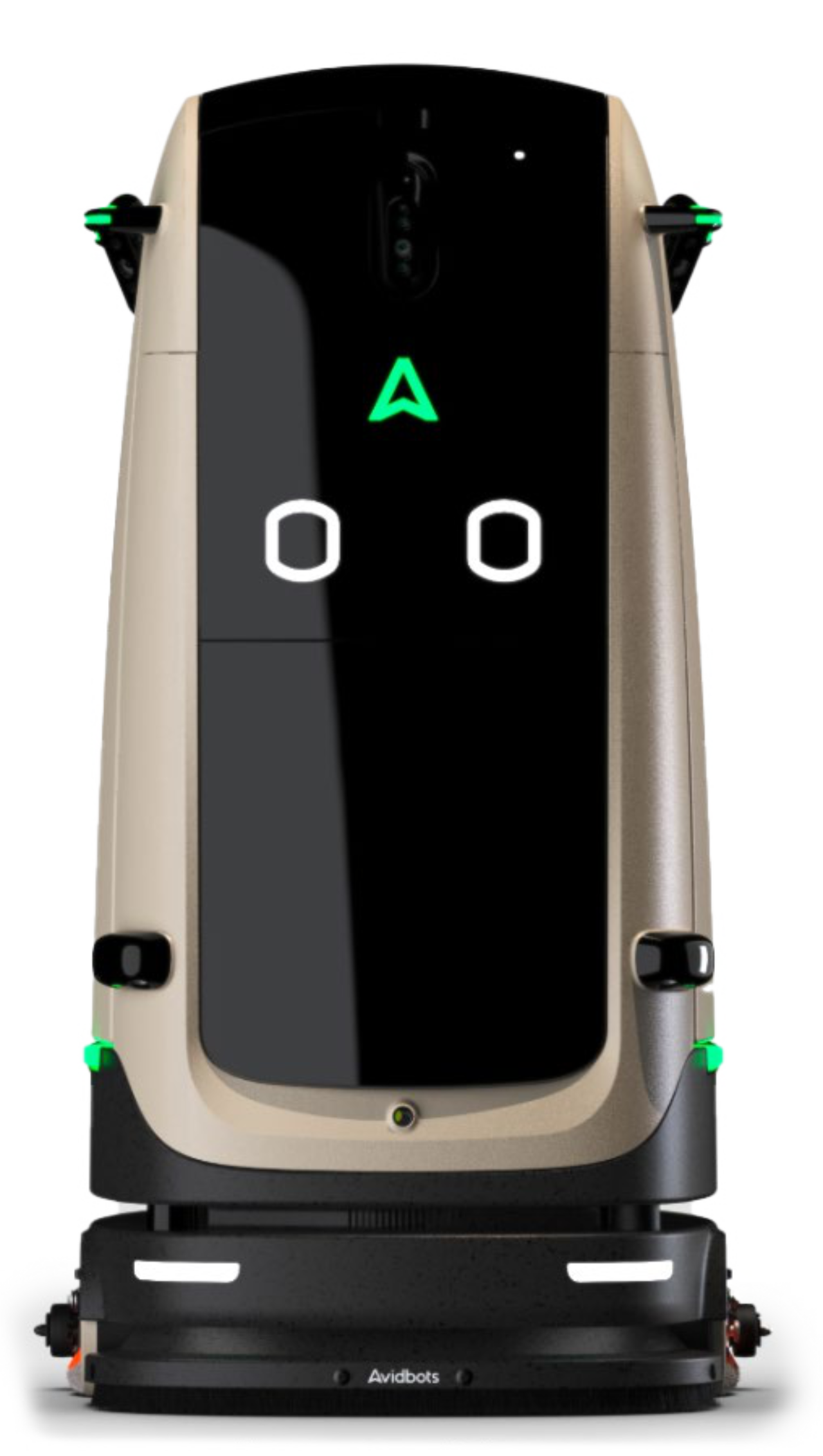 AVIDBOT KAS